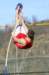 _doddridge_273_small.jpg
