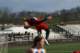 track2009150_small.jpg